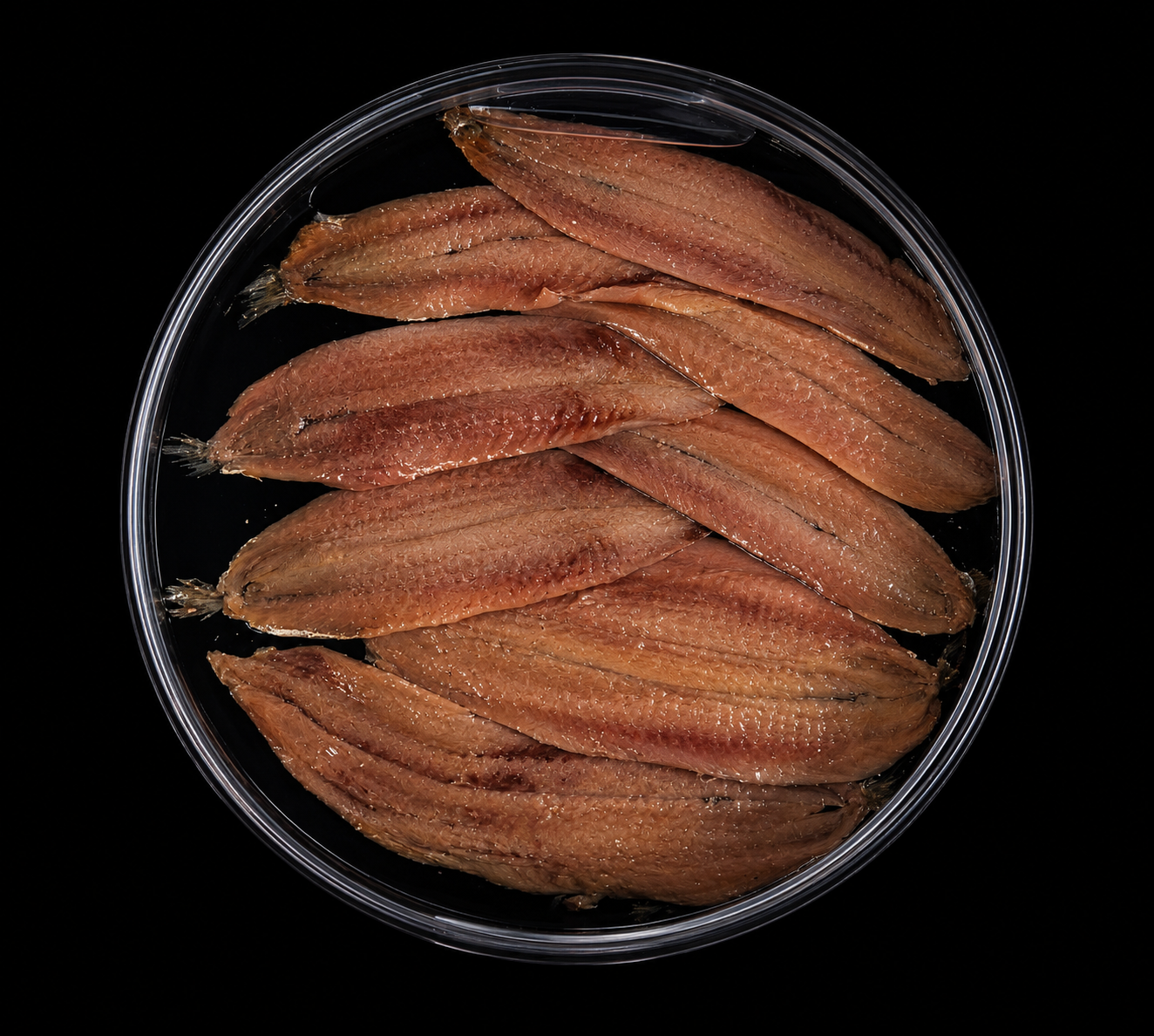 Anchoa mariposa cantábrico extra grande